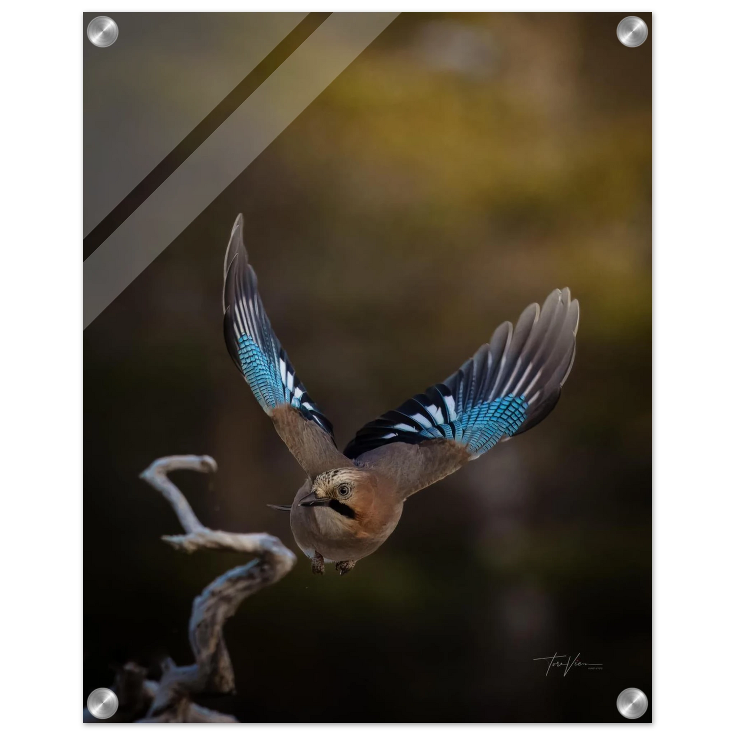 db149220-0ba5-42ce-897a-fa0c02fda20c