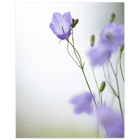 dd834aa5-6499-49a8-83e4-a3c518a9f837