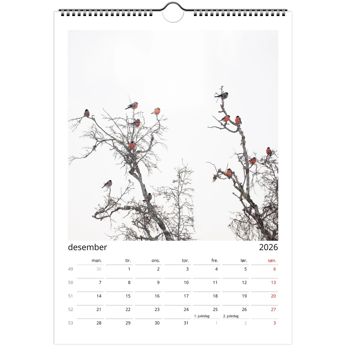 ddf5ba11-97ba-41d1-8ec7-32a48d932128