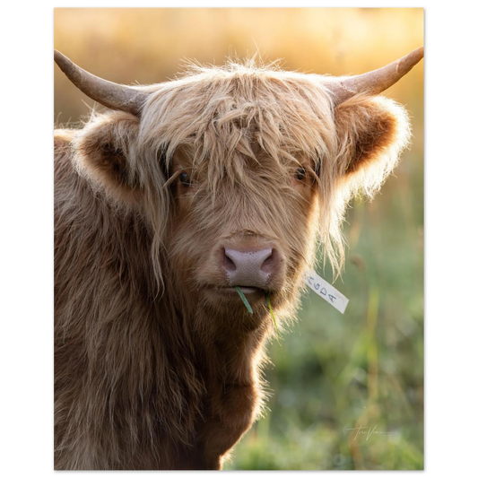 e0b0f5b0-3820-4e65-a8db-12408aabd4e5