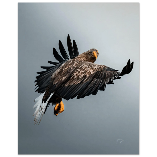 e199150d-a10a-4f01-aed5-d8d7f633b978