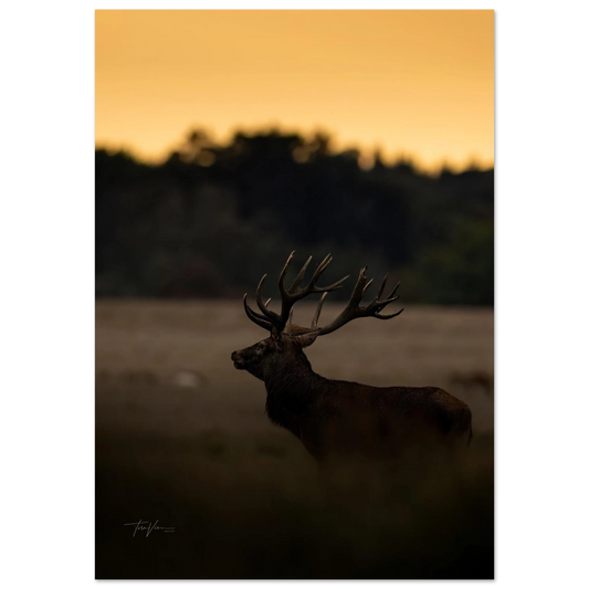 f4b7e90a-9cbe-4045-9919-0f6a3f2fc005