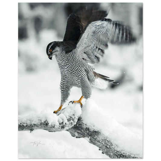 faf605f9-1211-4451-85d7-64ceb929bb13