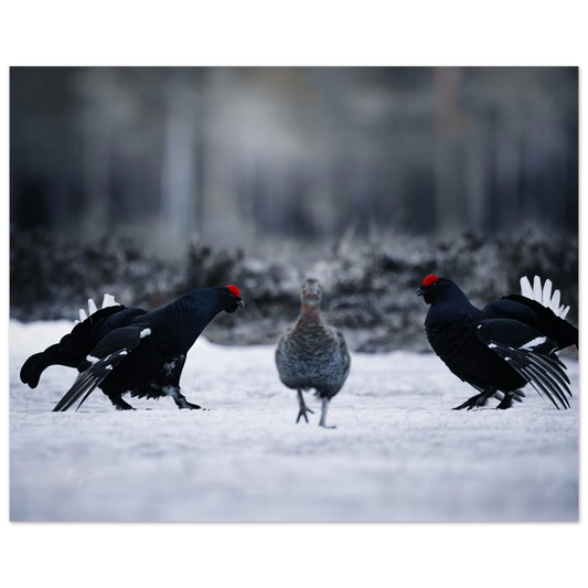 fe7359eb-5518-453c-87f7-e2f8bb4a601a