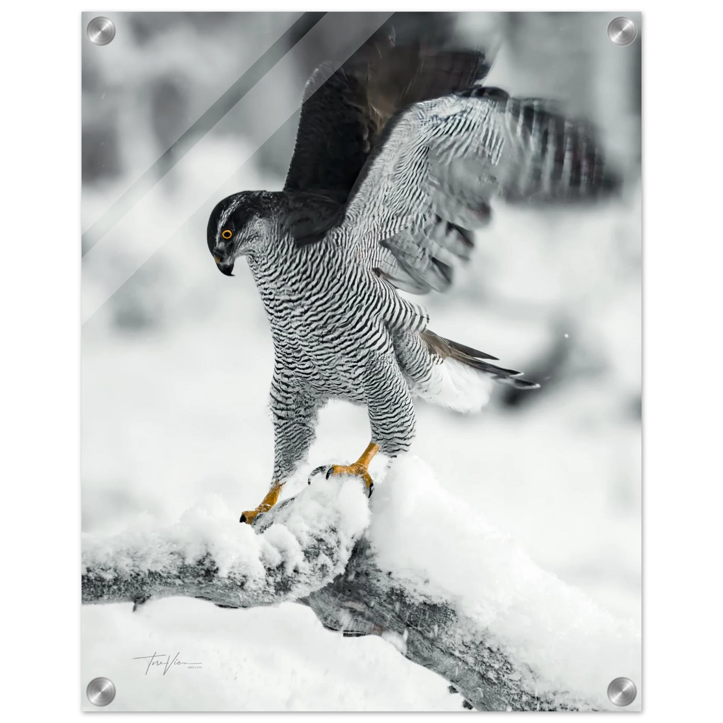 ffd8c0bd-aead-4e41-8c67-9385e45db5c6