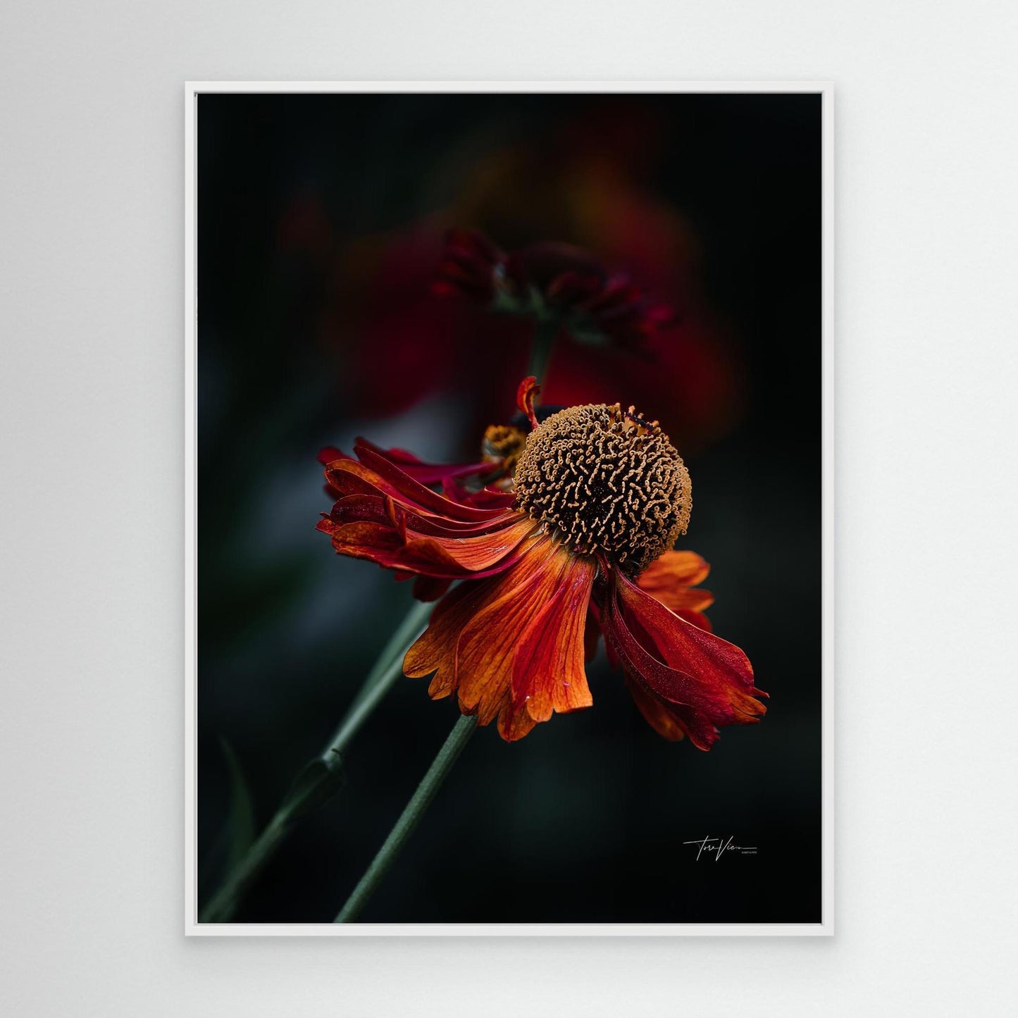 Solbrud 001