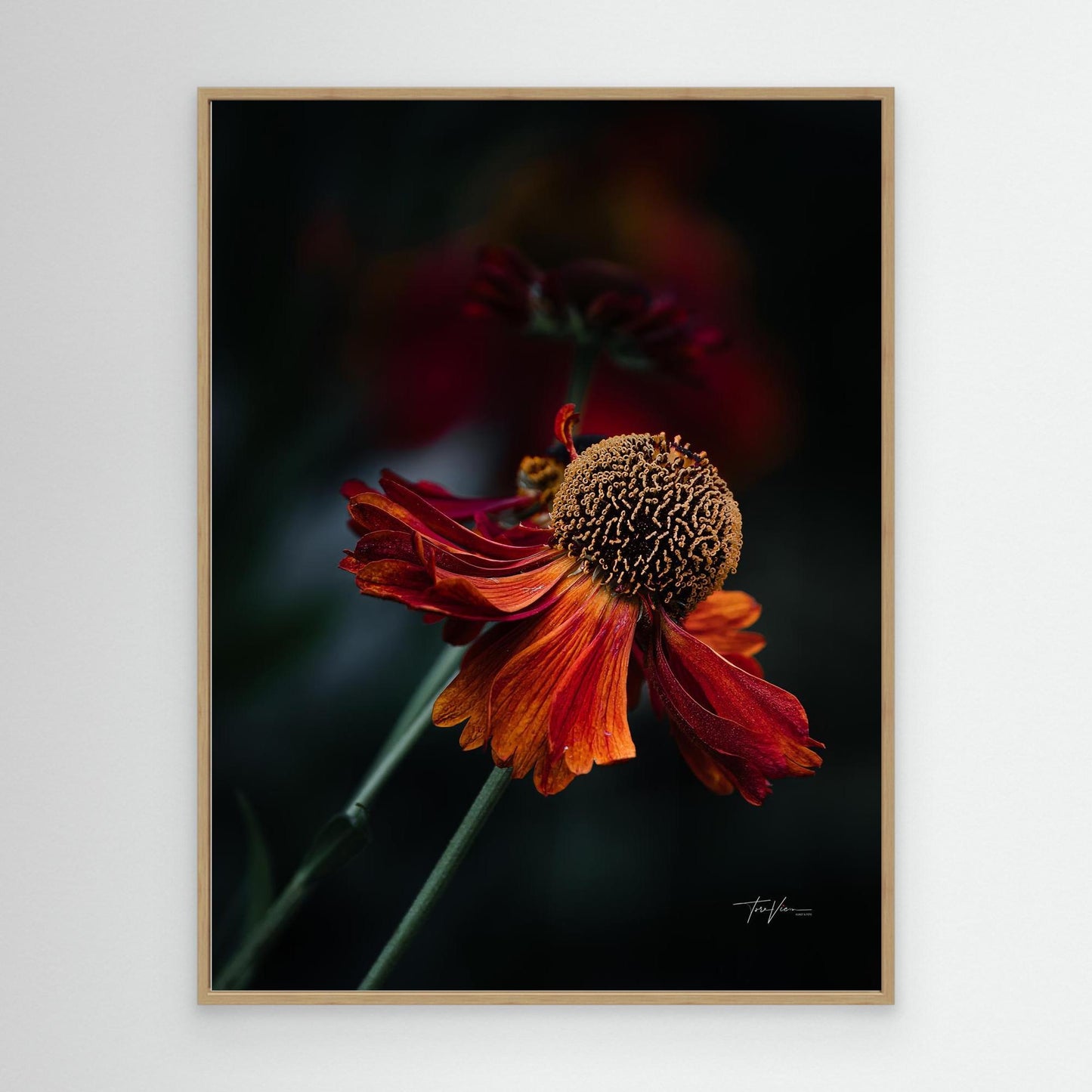 Solbrud 001