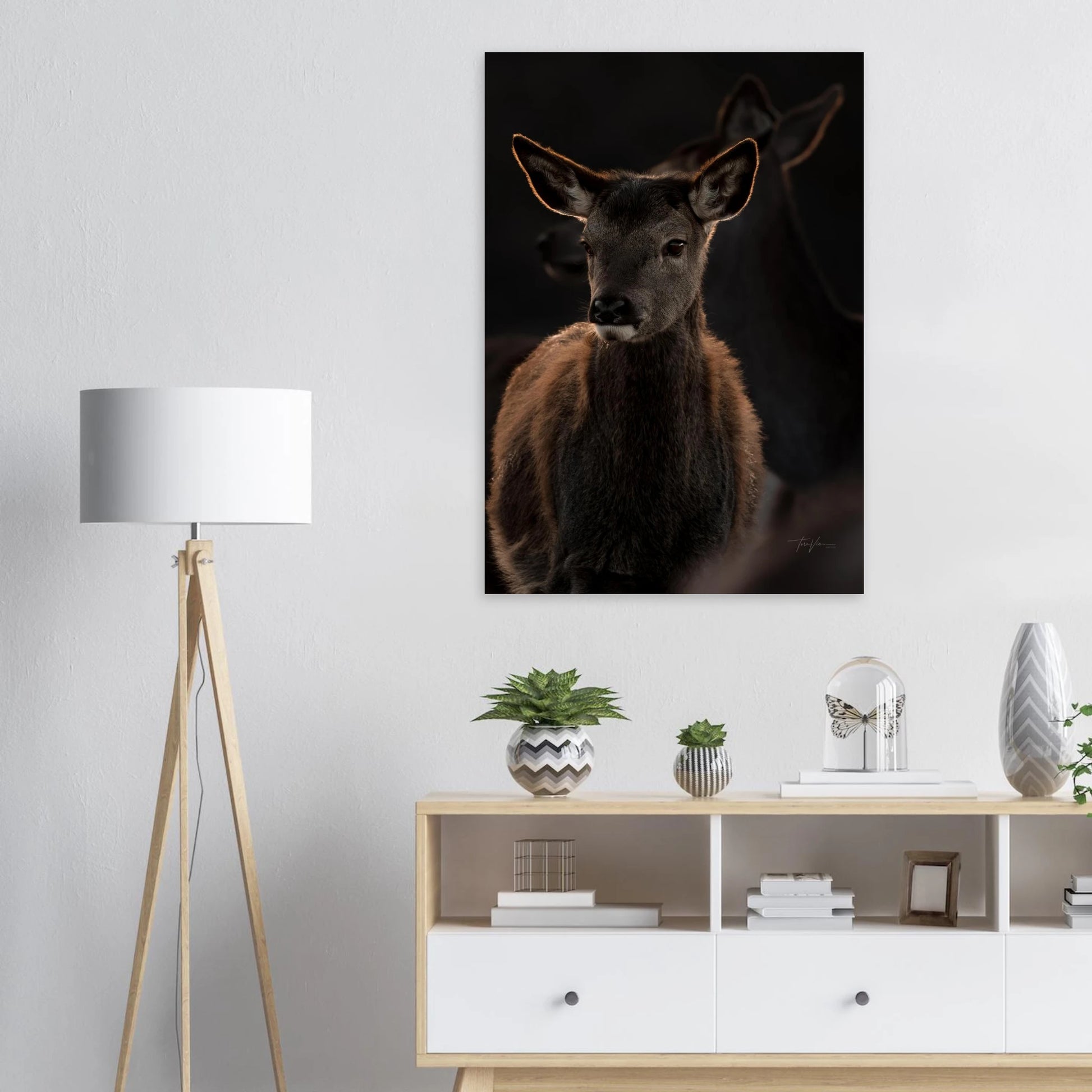 007d46b3-0a89-49bb-ad38-8ff9773c288a