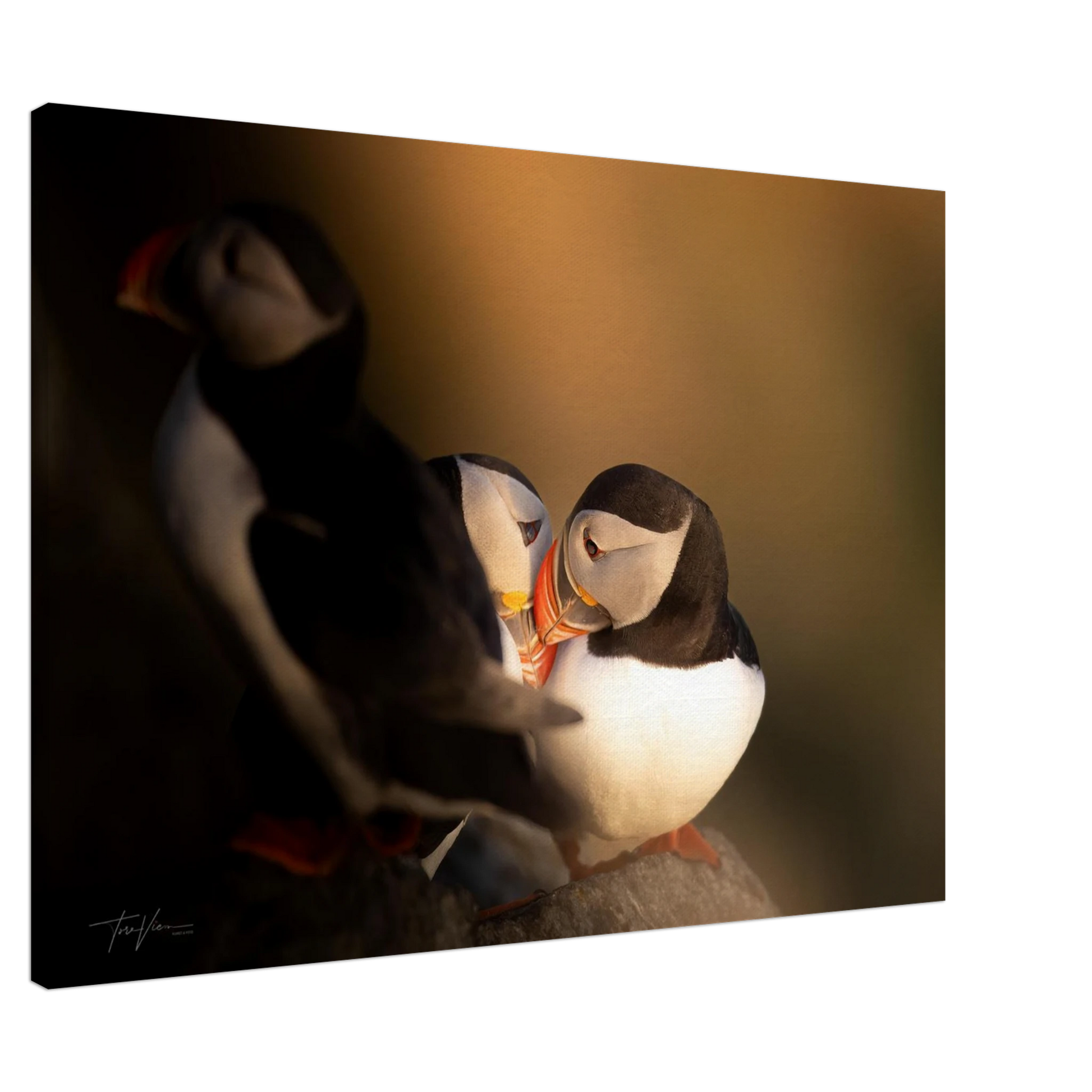 018319a6-e3a8-4446-ba07-bc1d2528976e