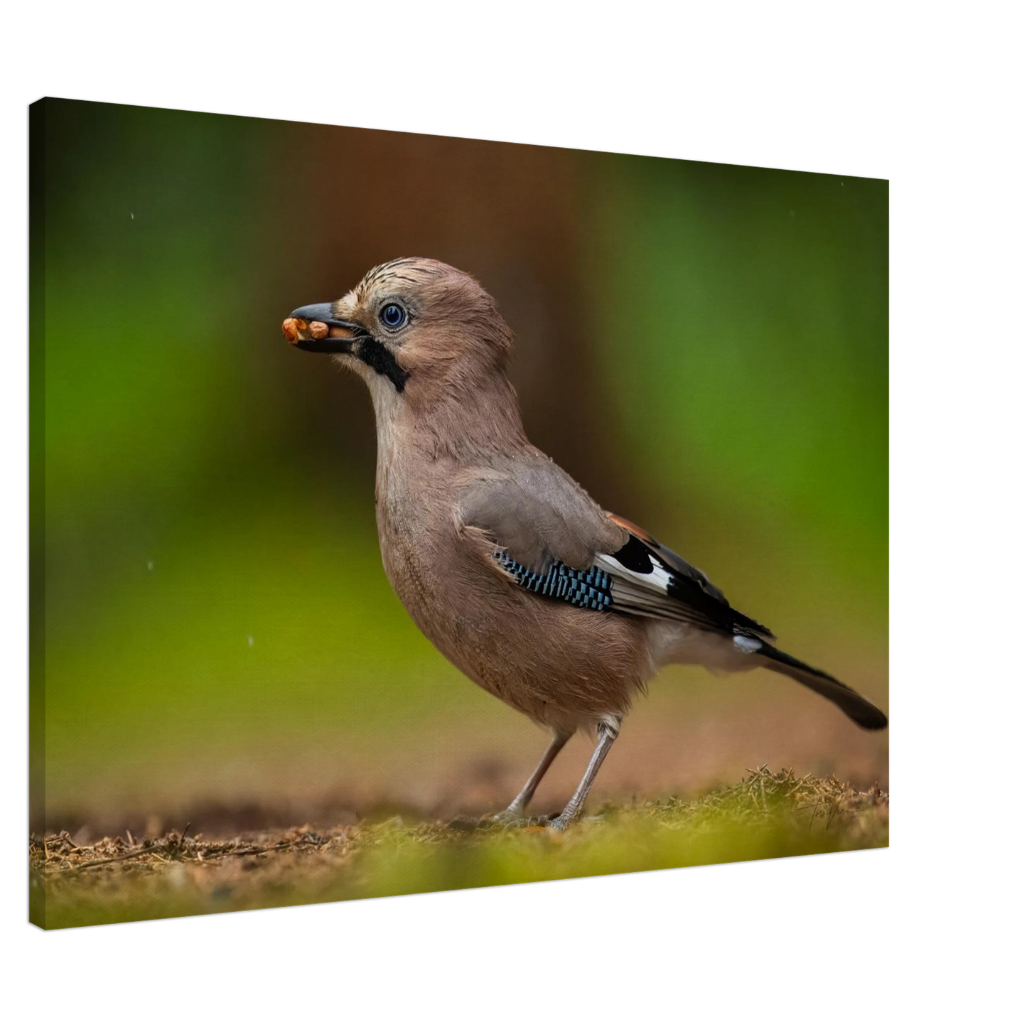 024ce4a3-c9b0-44f2-83e0-5cf3e35a1b40