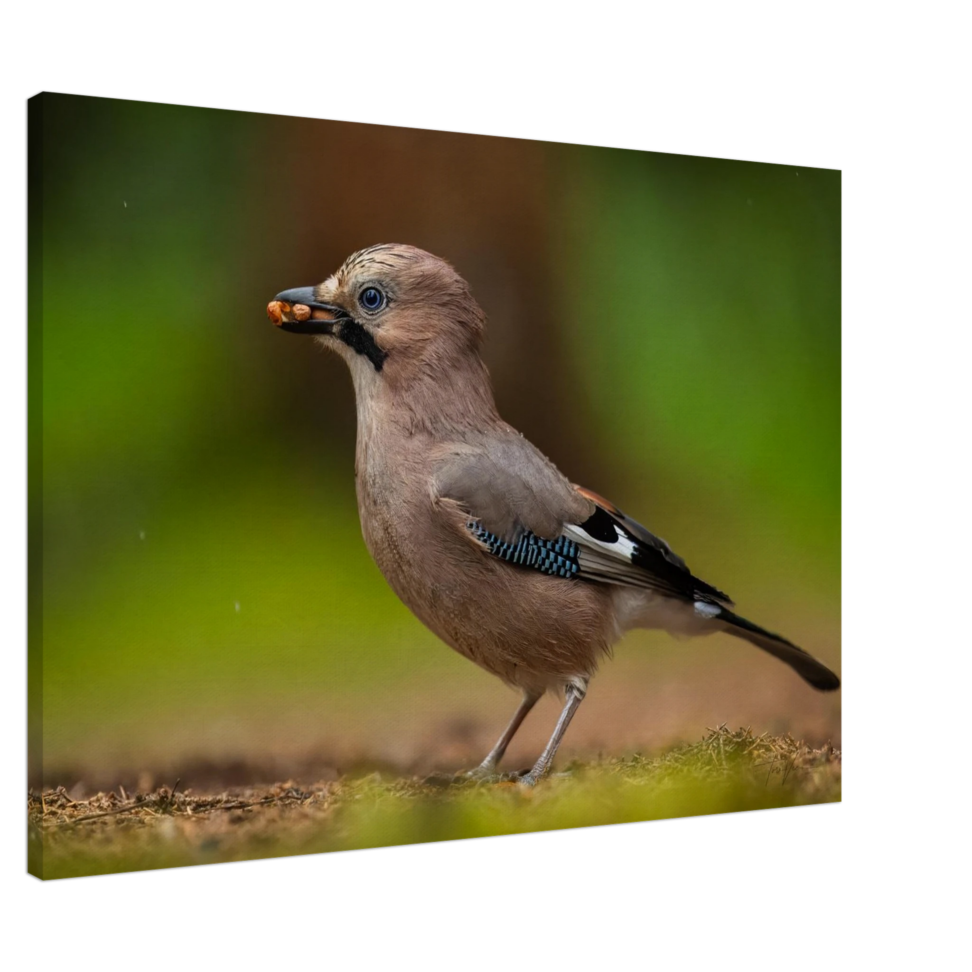 024ce4a3-c9b0-44f2-83e0-5cf3e35a1b40