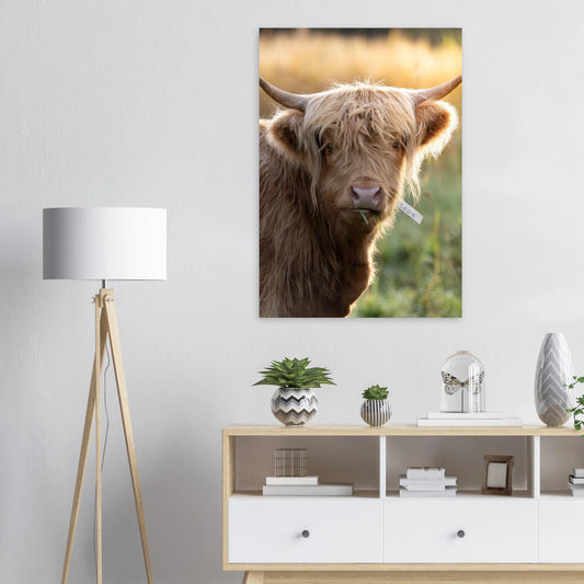 0385a720-7a45-4b43-a6c4-63563f1a82ae