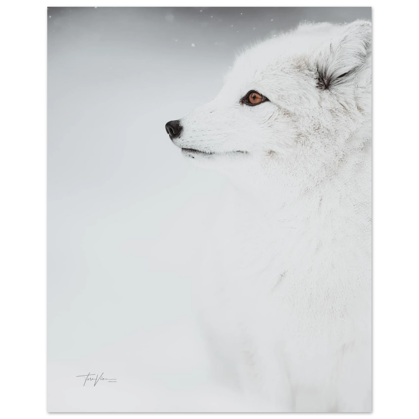 03d7227f-bc7a-4b12-ae0f-641d8510bc11