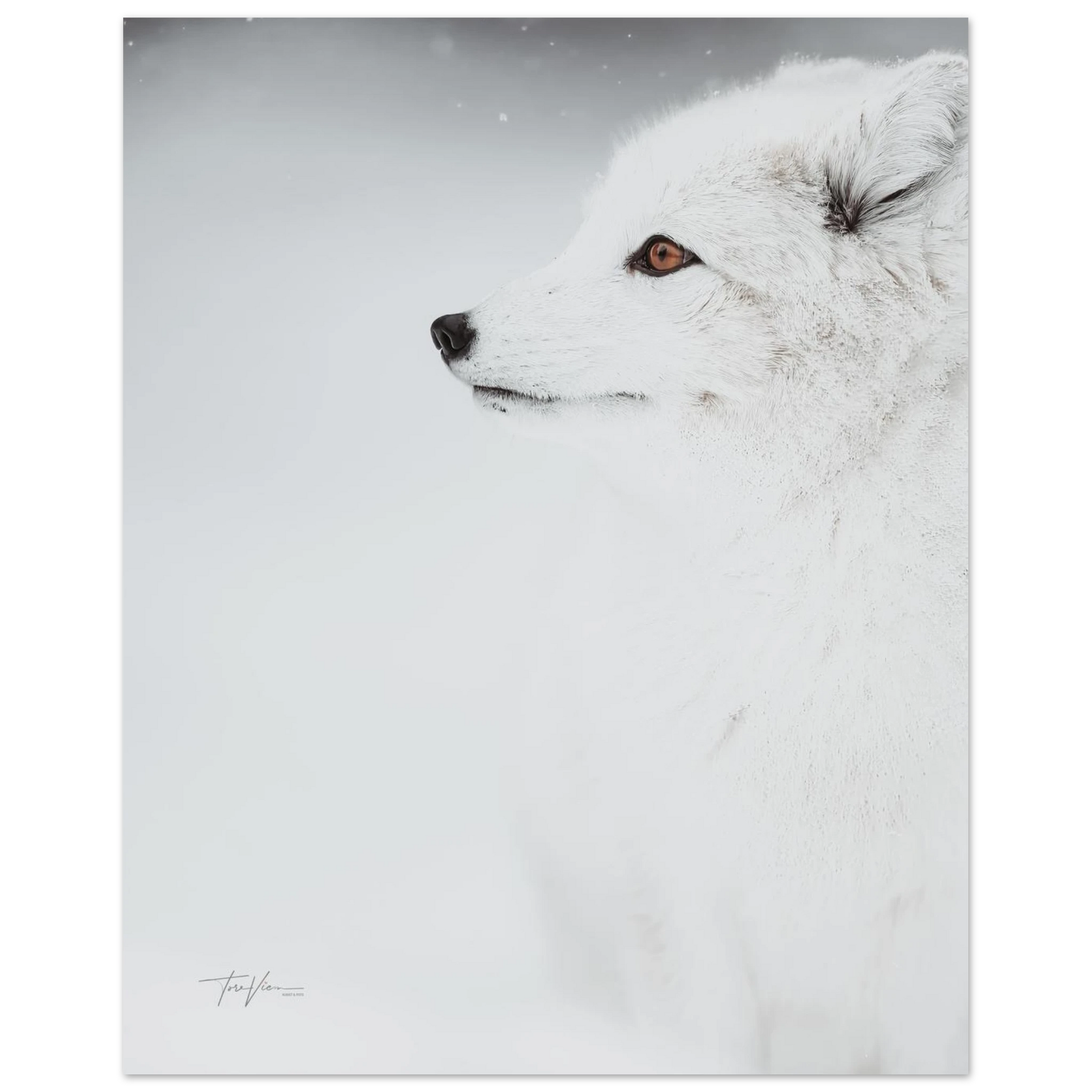 03d7227f-bc7a-4b12-ae0f-641d8510bc11