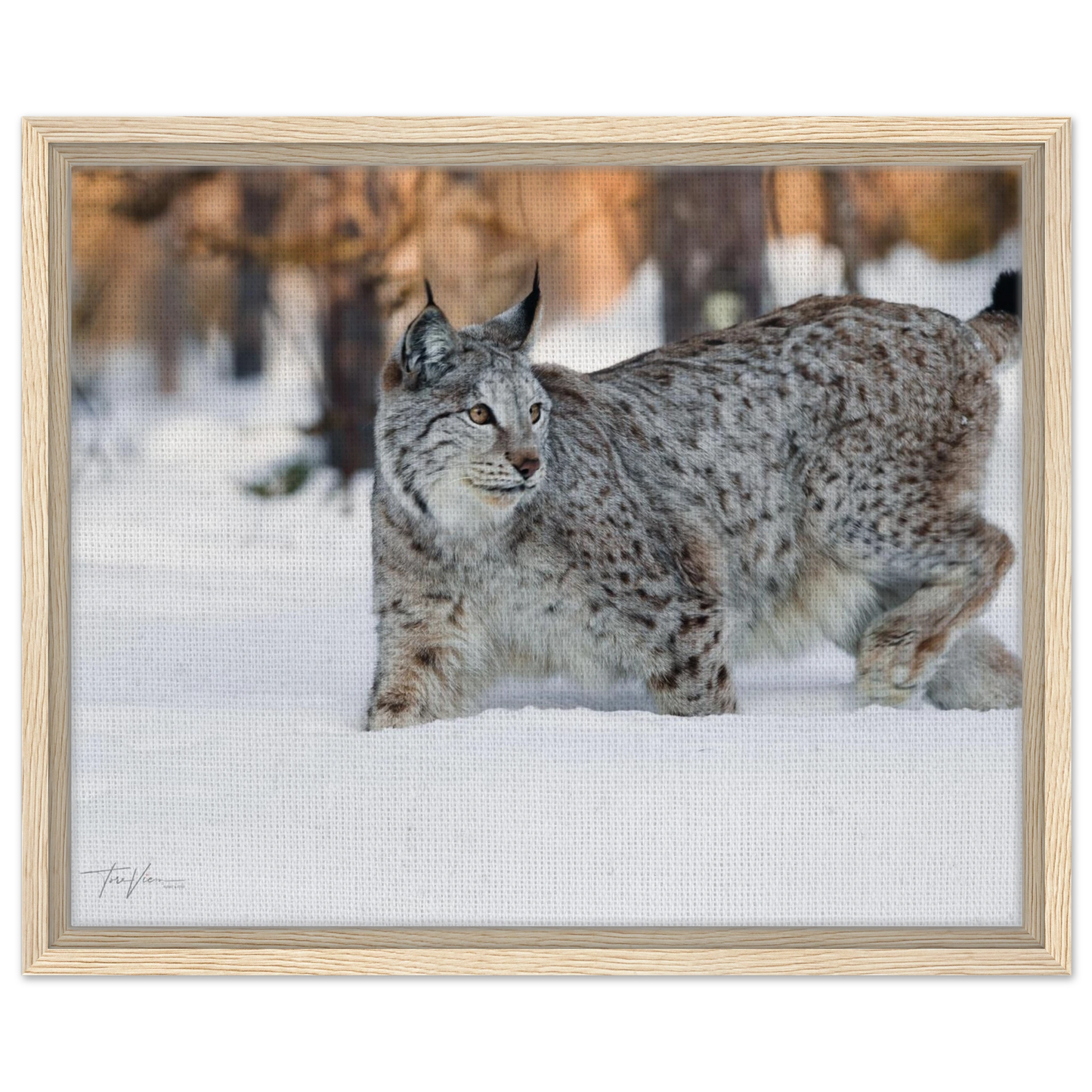 03de7d39-71b9-4c5d-8367-78edc4dc2f5f