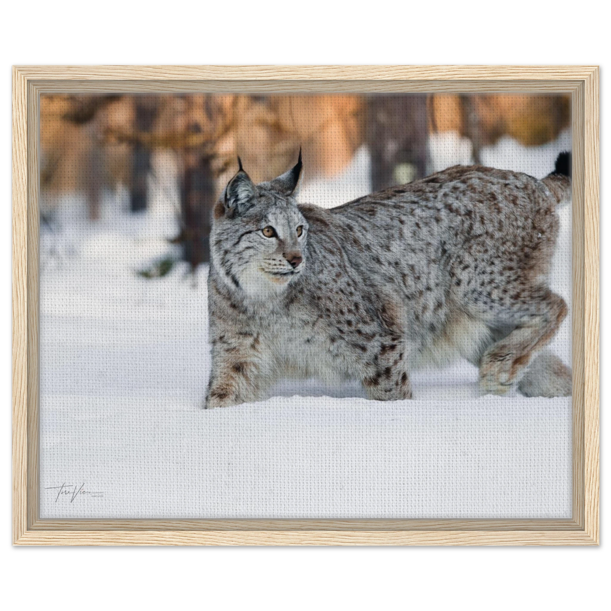 03de7d39-71b9-4c5d-8367-78edc4dc2f5f