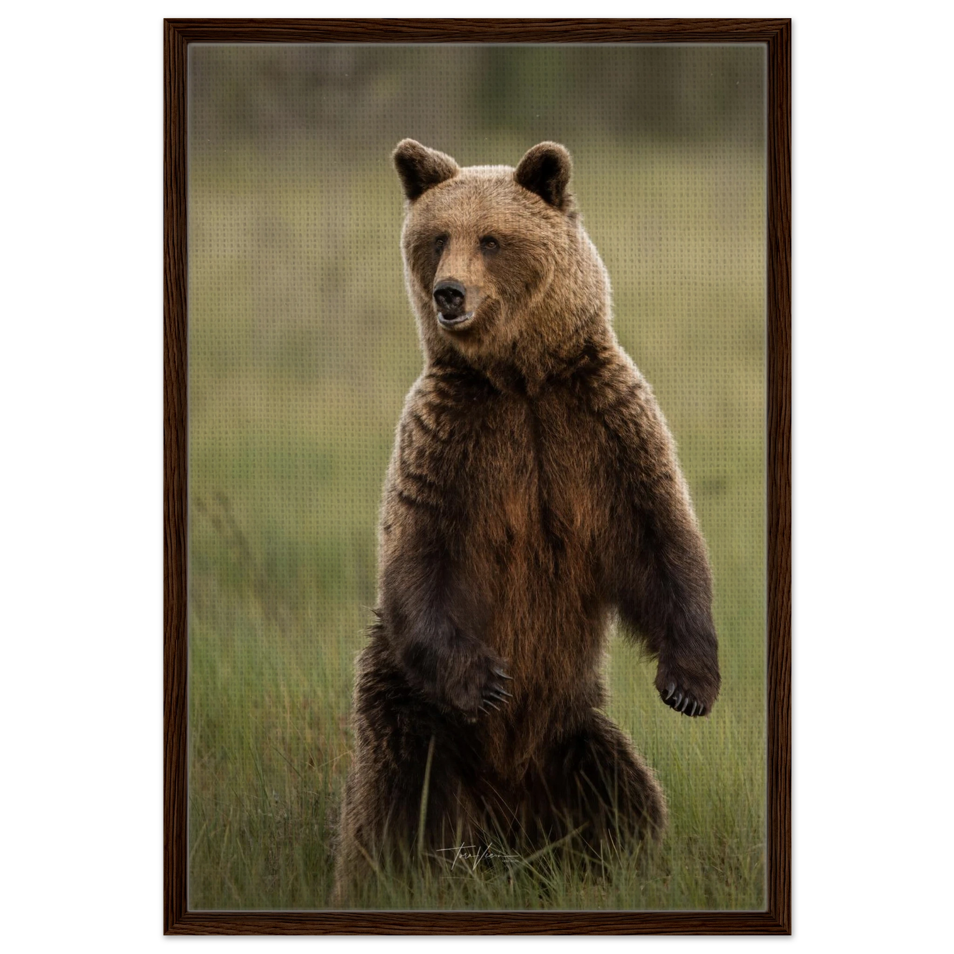 03ed8d4b-9c62-4cfa-906e-66e1ac17e196