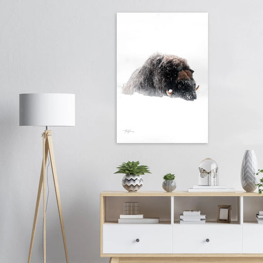 04fded5f-ac6e-4a6b-a561-716d3bb02201