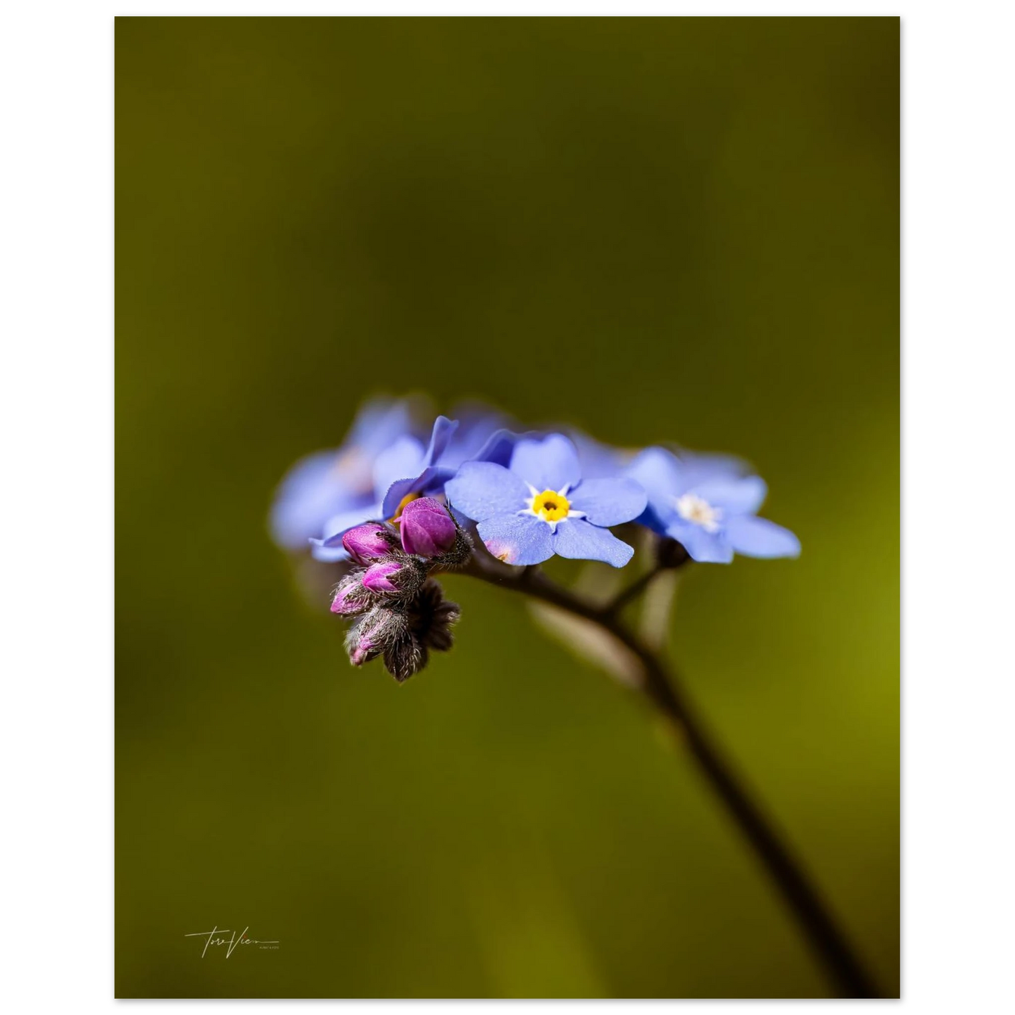 05f7d587-0f9e-4e0d-afd3-60eede63887f