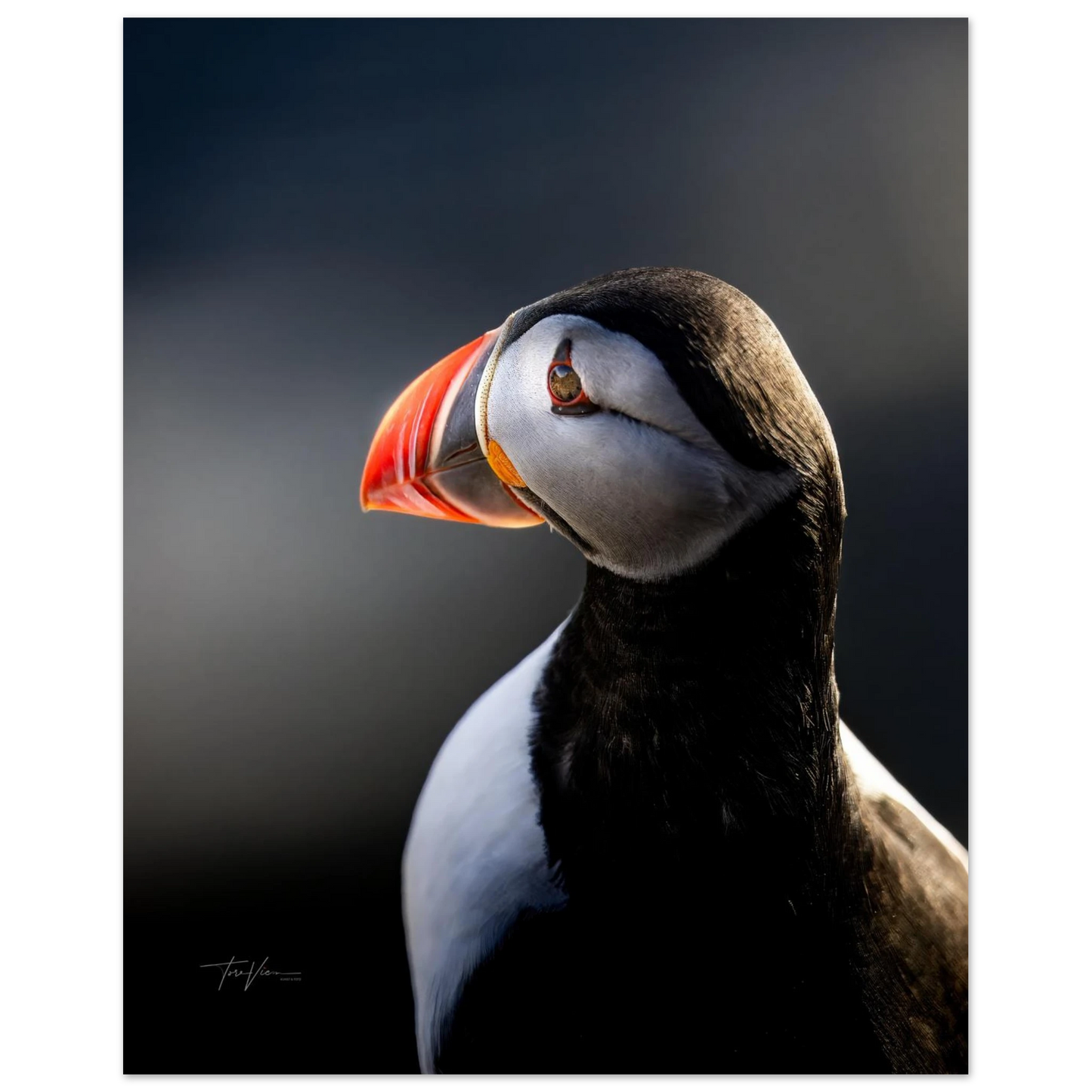 064bfe3c-957d-46e3-a490-2ba1a572c527