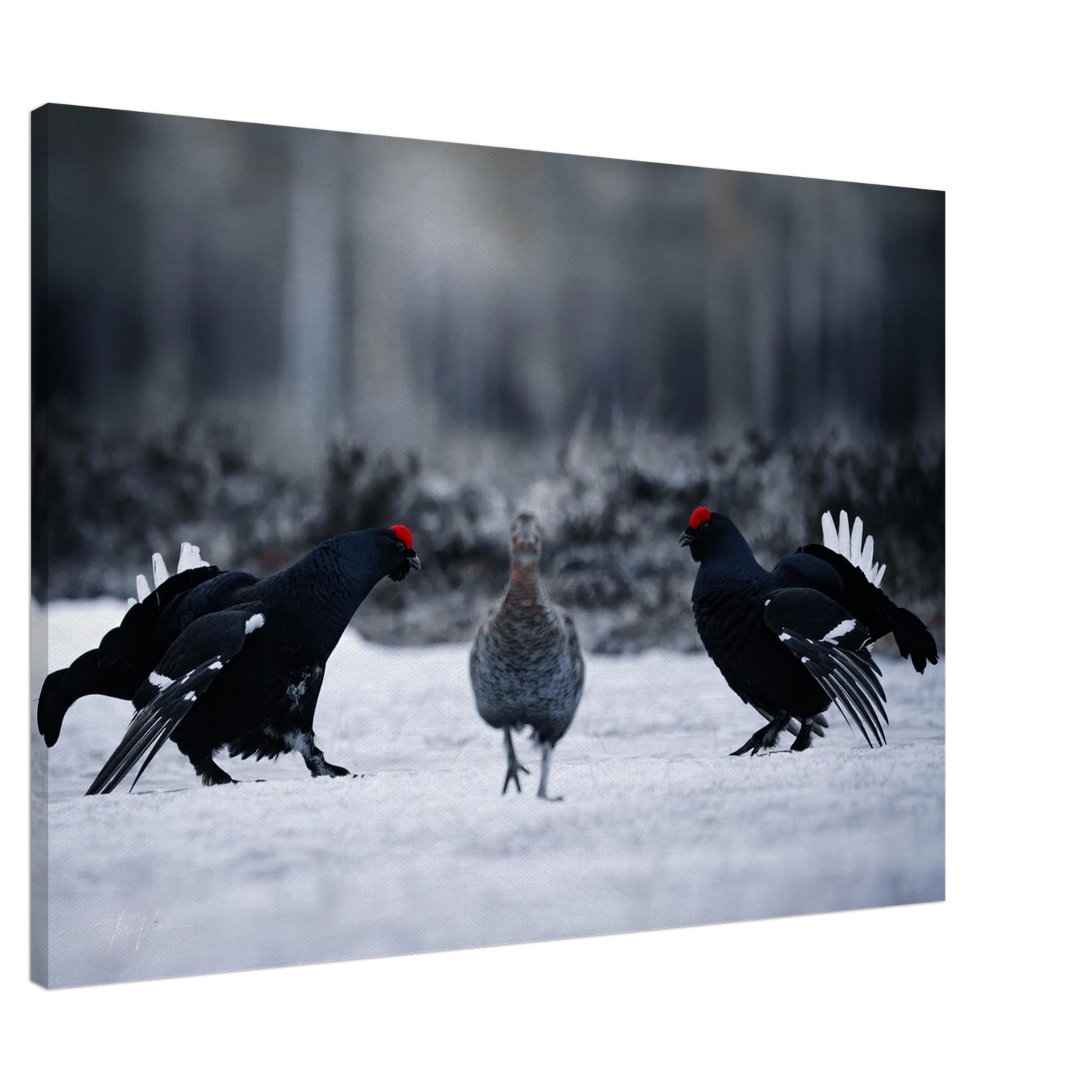 06bcd3a6-5d2e-47d8-a6b4-7a7049fec3dd