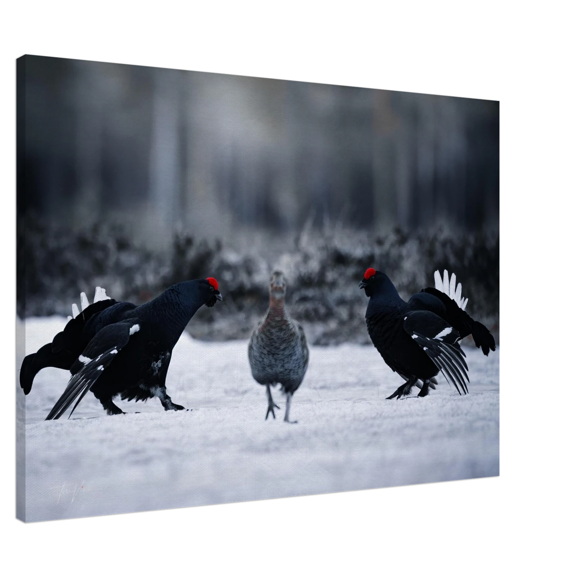 06bcd3a6-5d2e-47d8-a6b4-7a7049fec3dd