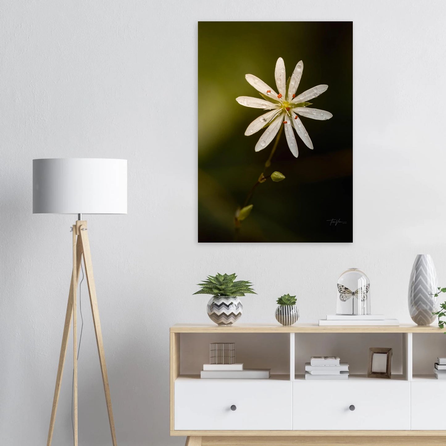 071eacd3-4928-41ed-843f-0d0ef0230a89