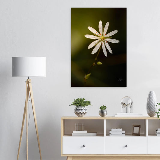 071eacd3-4928-41ed-843f-0d0ef0230a89