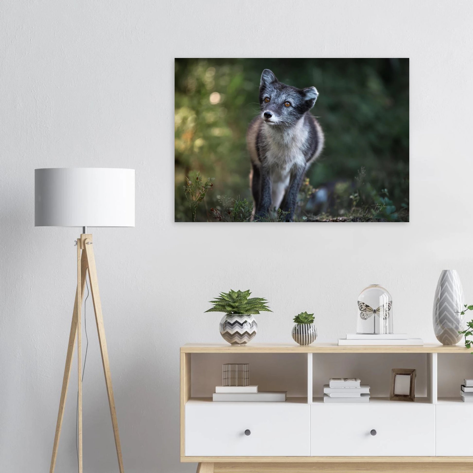 0733e59c-594f-41b5-b36e-df8793e5f657