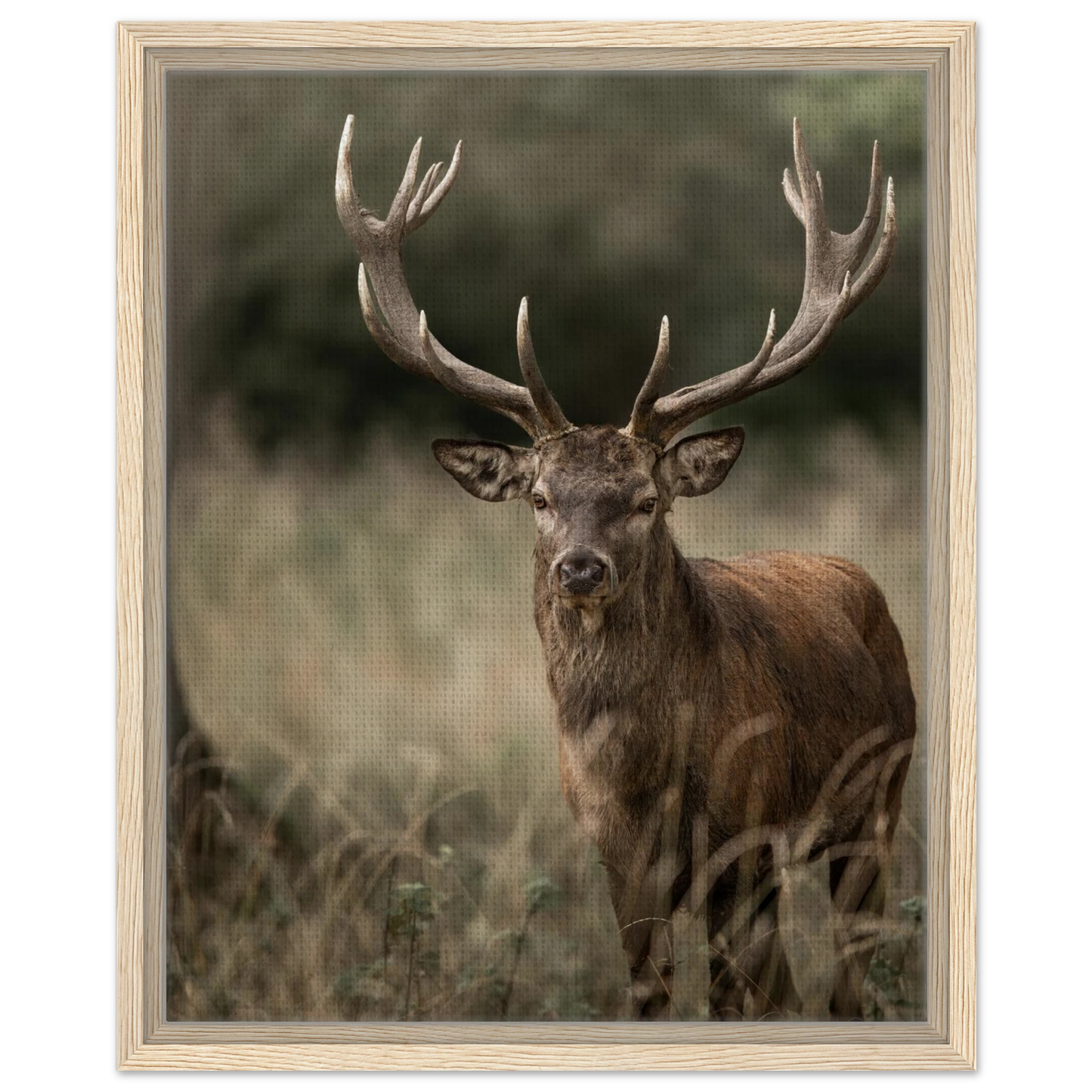 075d016f-dfd0-47ef-8e6a-3c53c96d1c5c