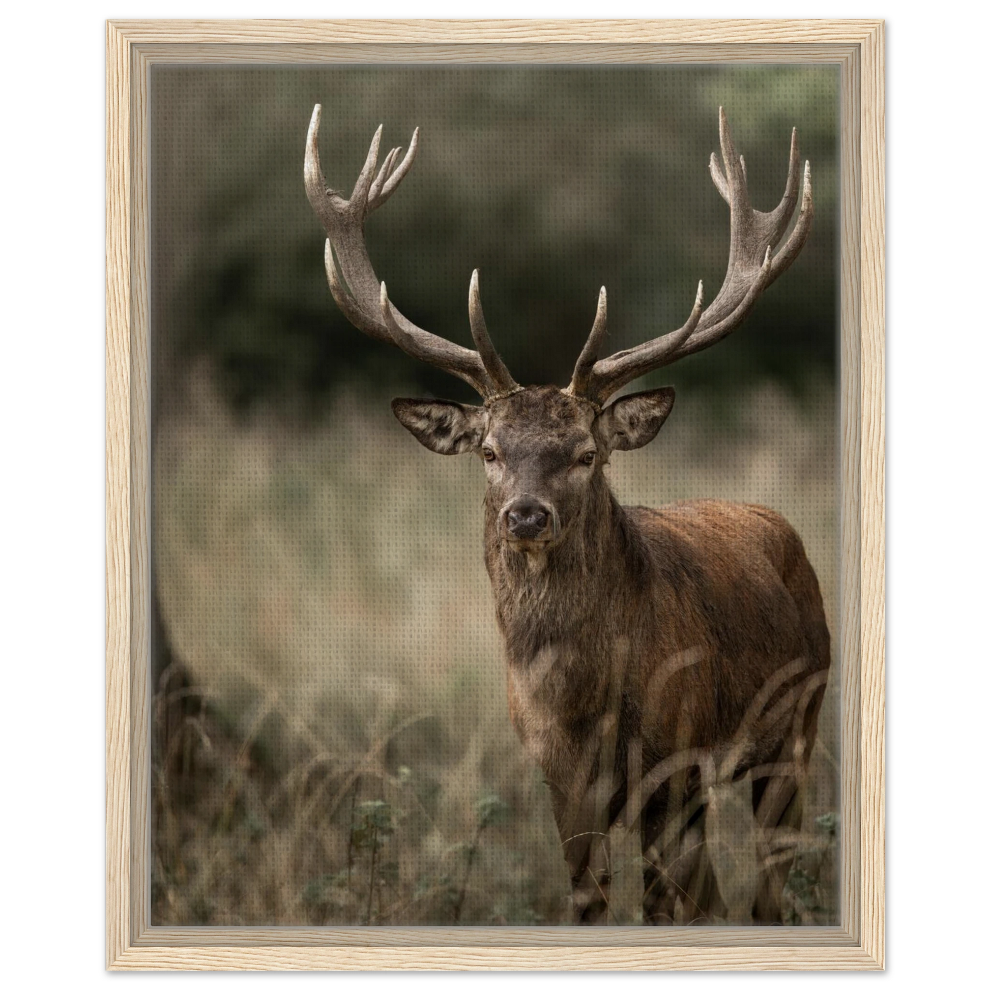 075d016f-dfd0-47ef-8e6a-3c53c96d1c5c