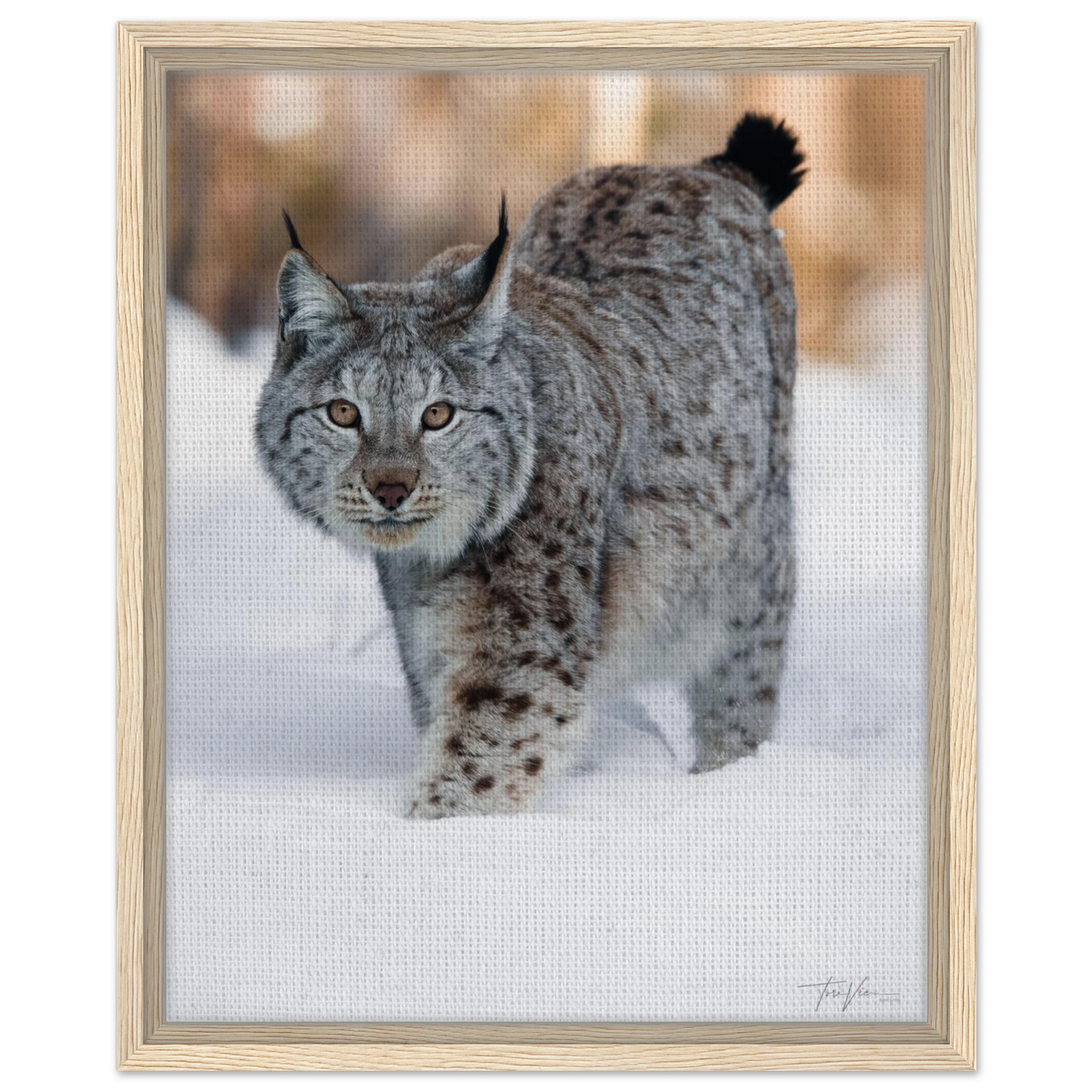 076d924a-8c5f-4480-9553-fcaf400c7118