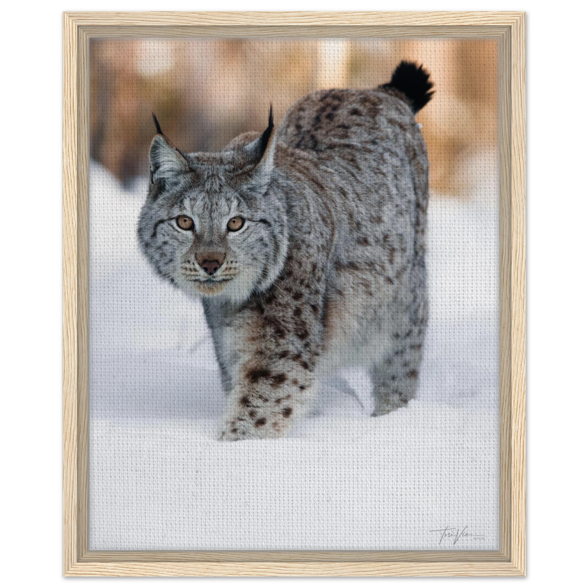 076d924a-8c5f-4480-9553-fcaf400c7118