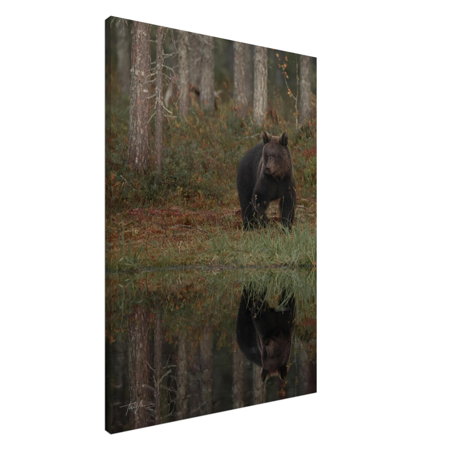 088658e5-a928-49cf-9852-16a9aa4219cd