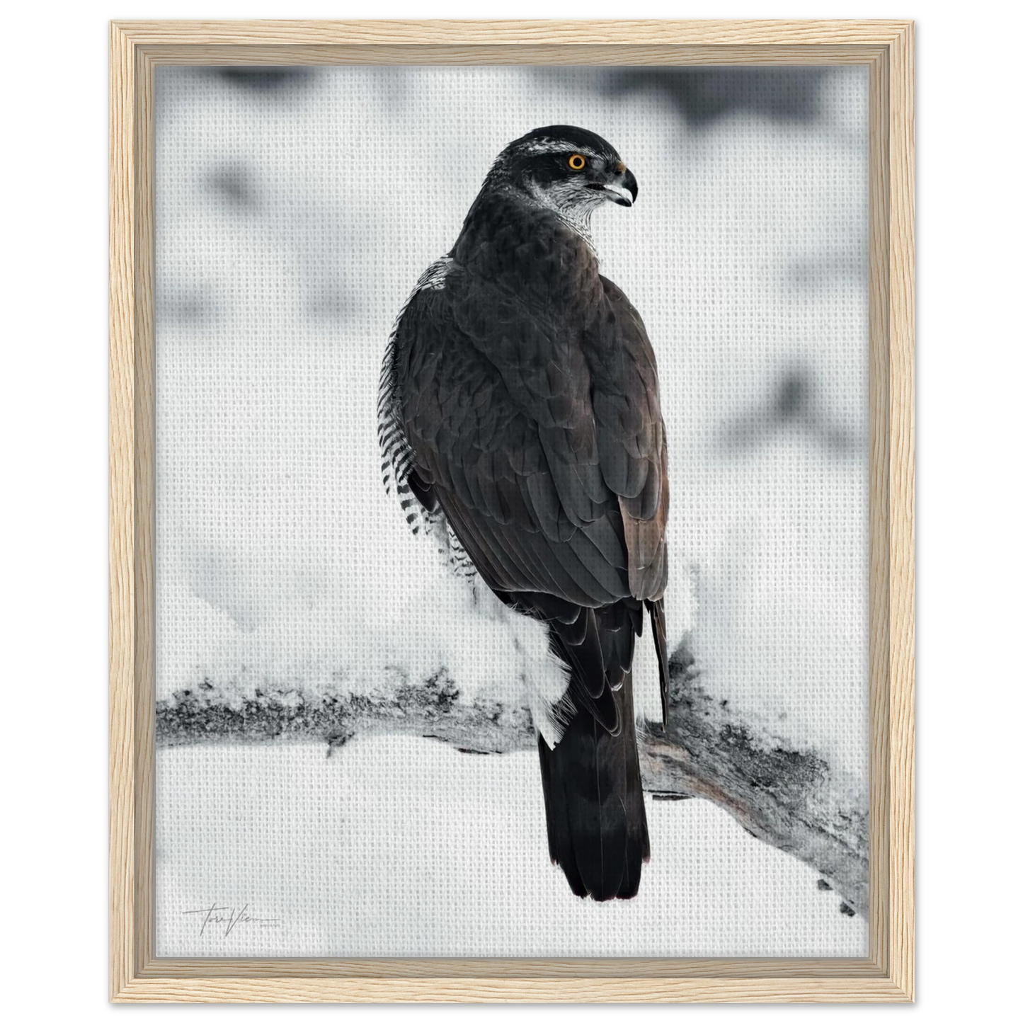 09614795-2843-4a00-b3bf-656042410419