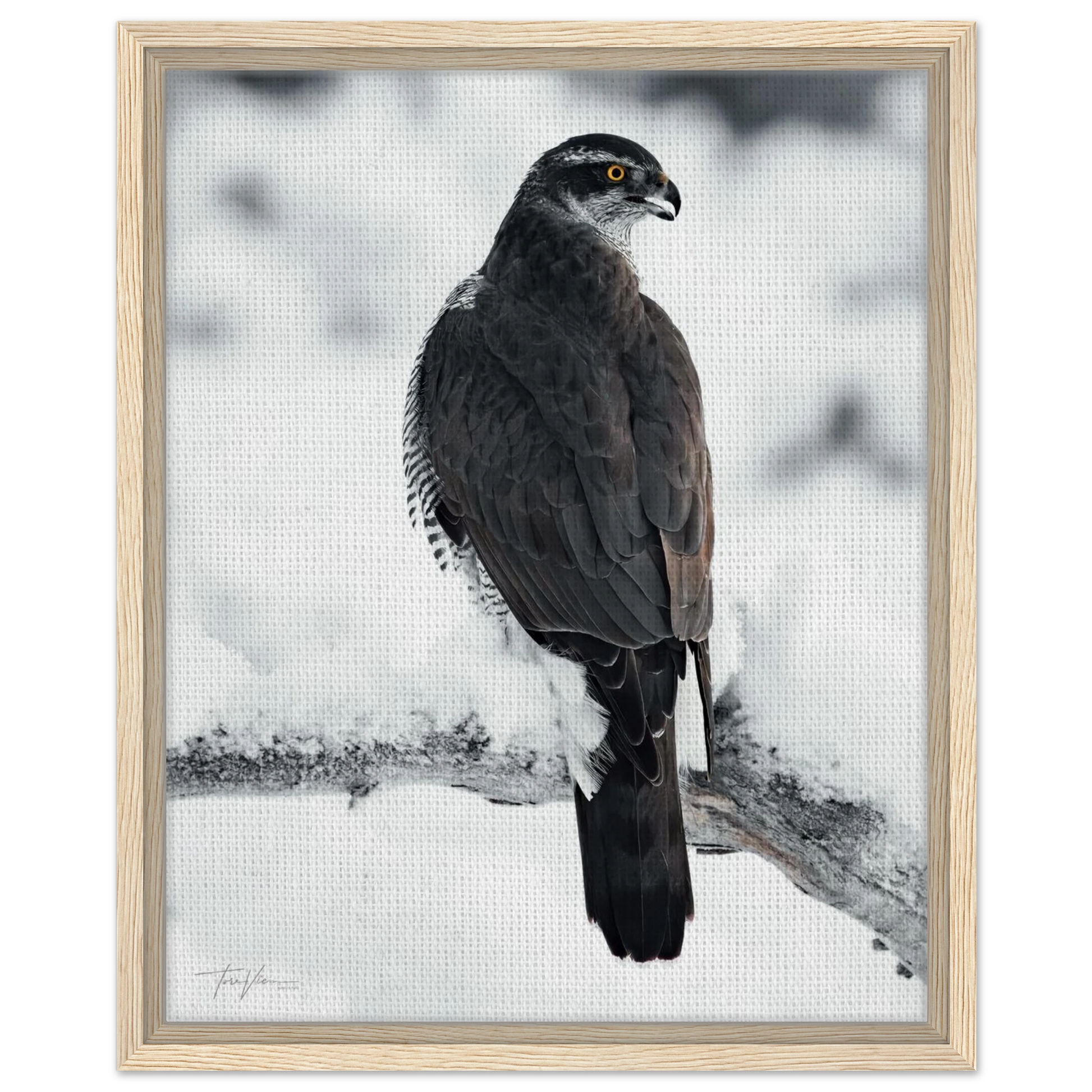 09614795-2843-4a00-b3bf-656042410419