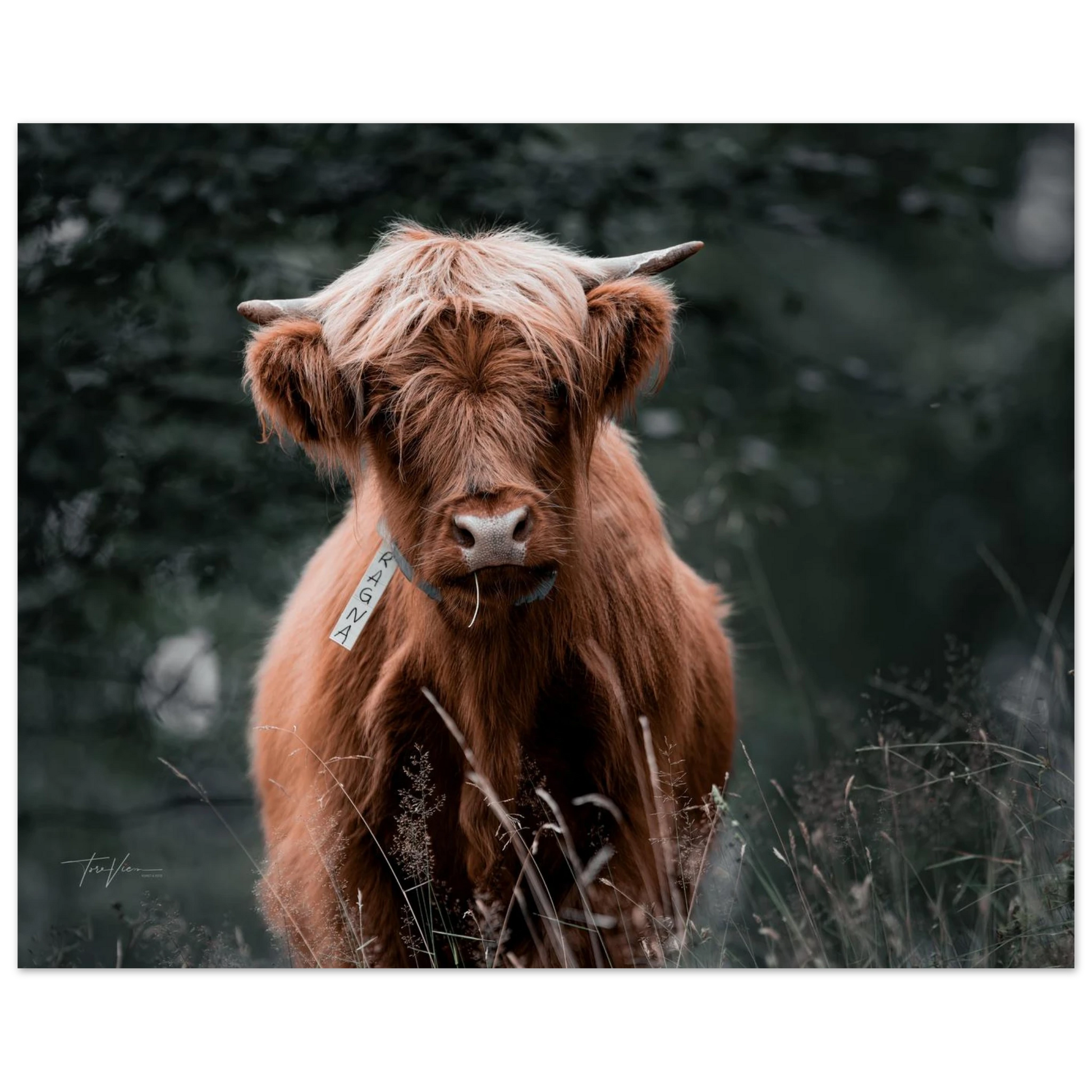 09c79bf4-be30-4e6a-88db-ac3ab874b577