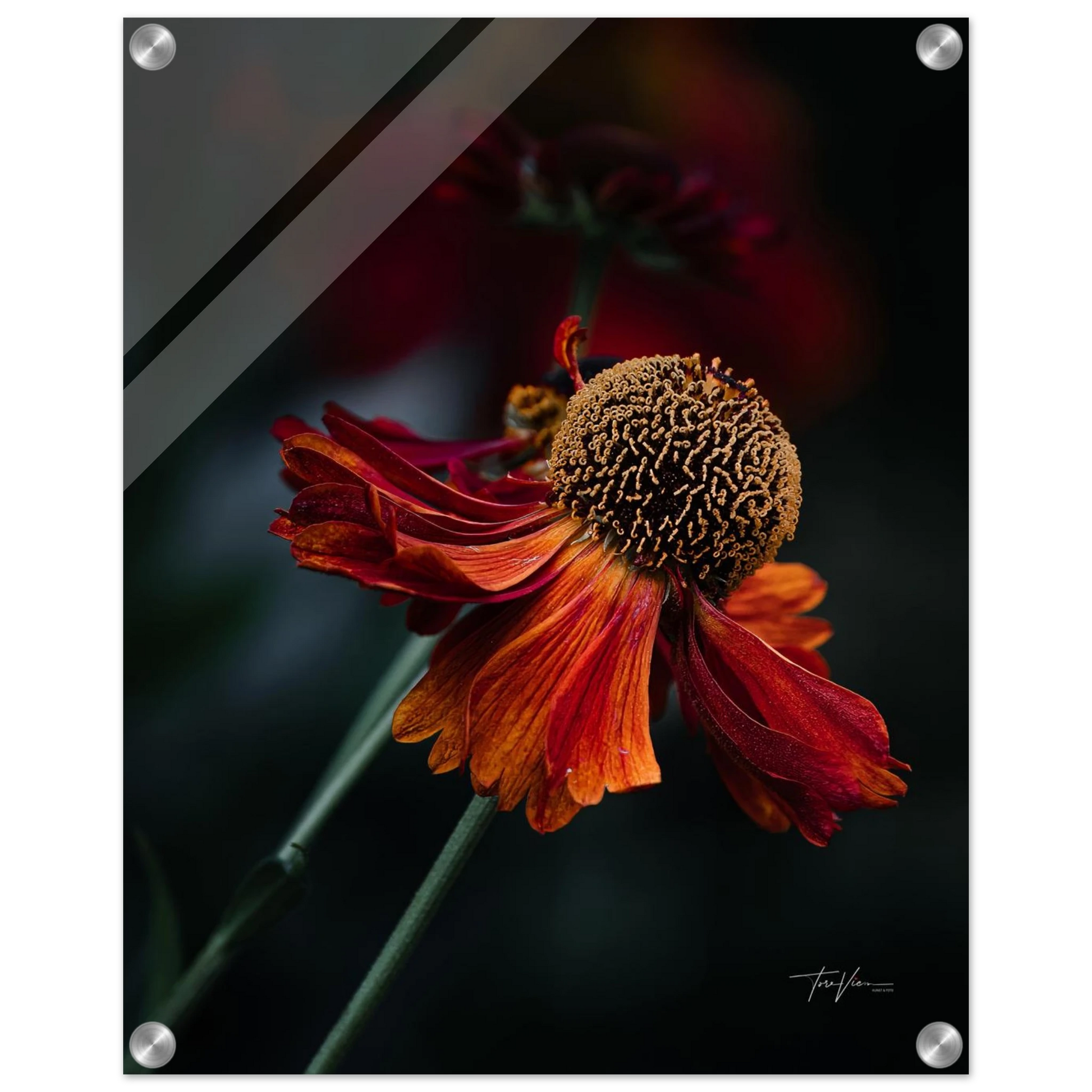 0a6ab99e-1a43-4961-b906-34320760a946