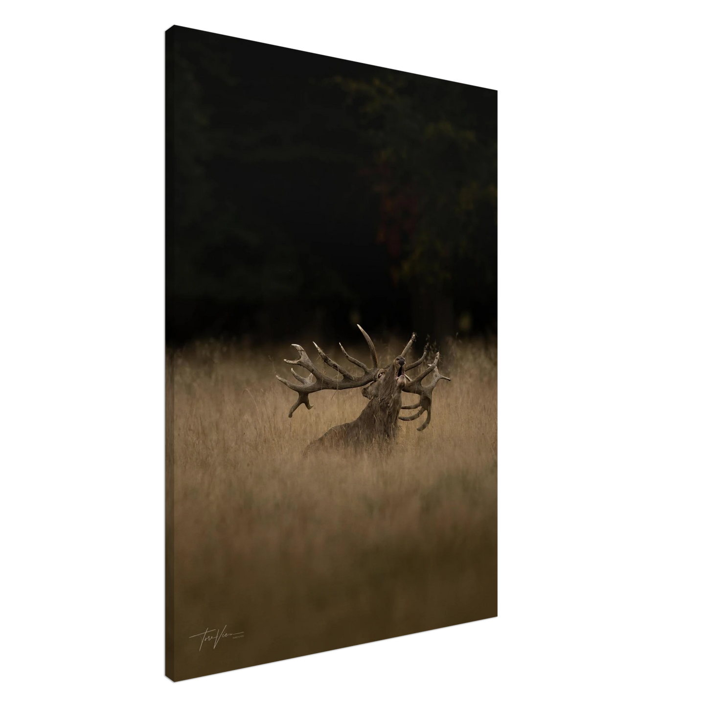 0b929b14-e147-43ca-b078-943289a20cfb