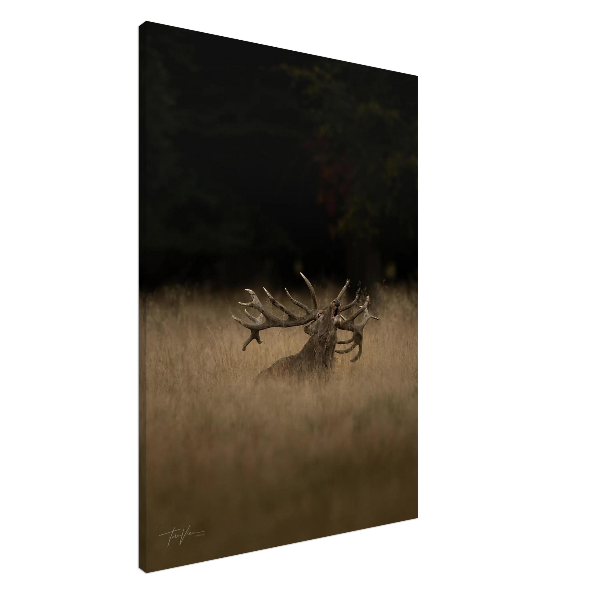 0b929b14-e147-43ca-b078-943289a20cfb