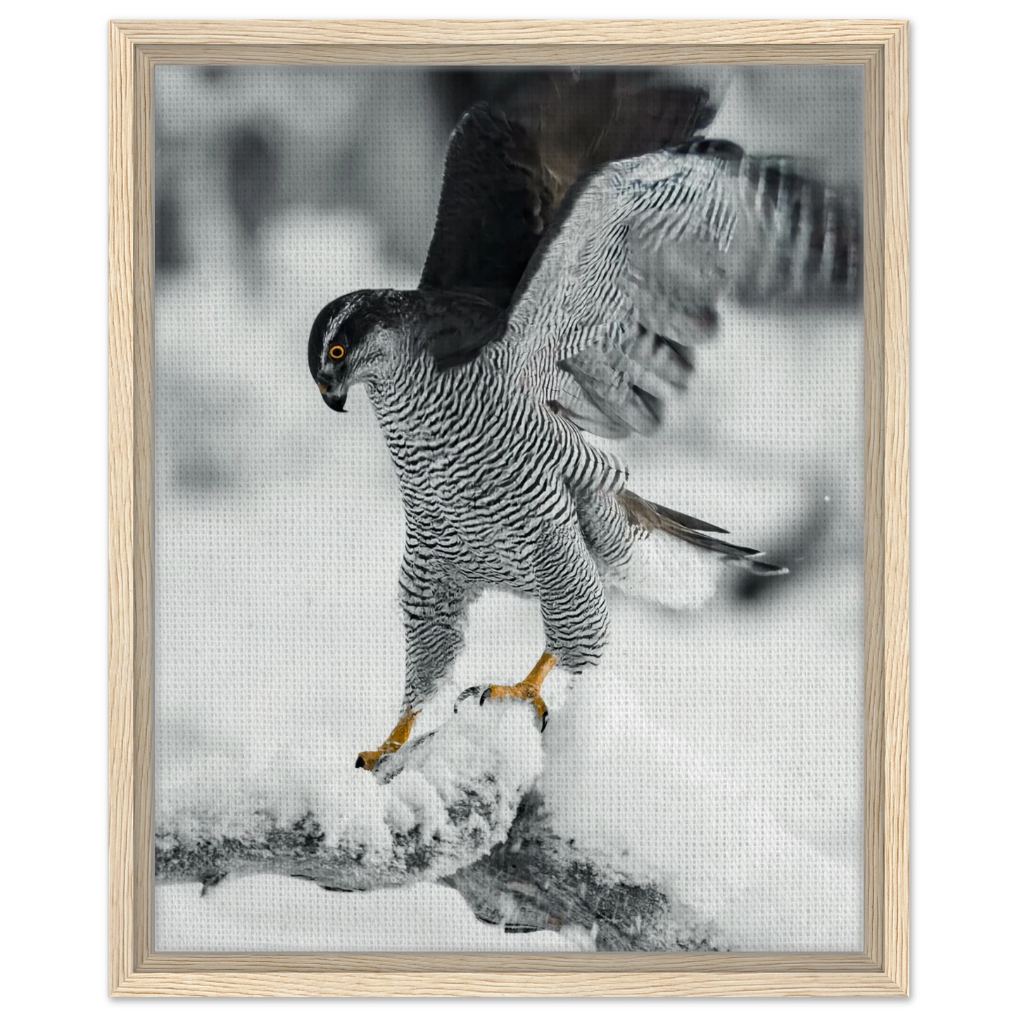 0e356a66-ae42-4f54-9f59-a40a7e88b112