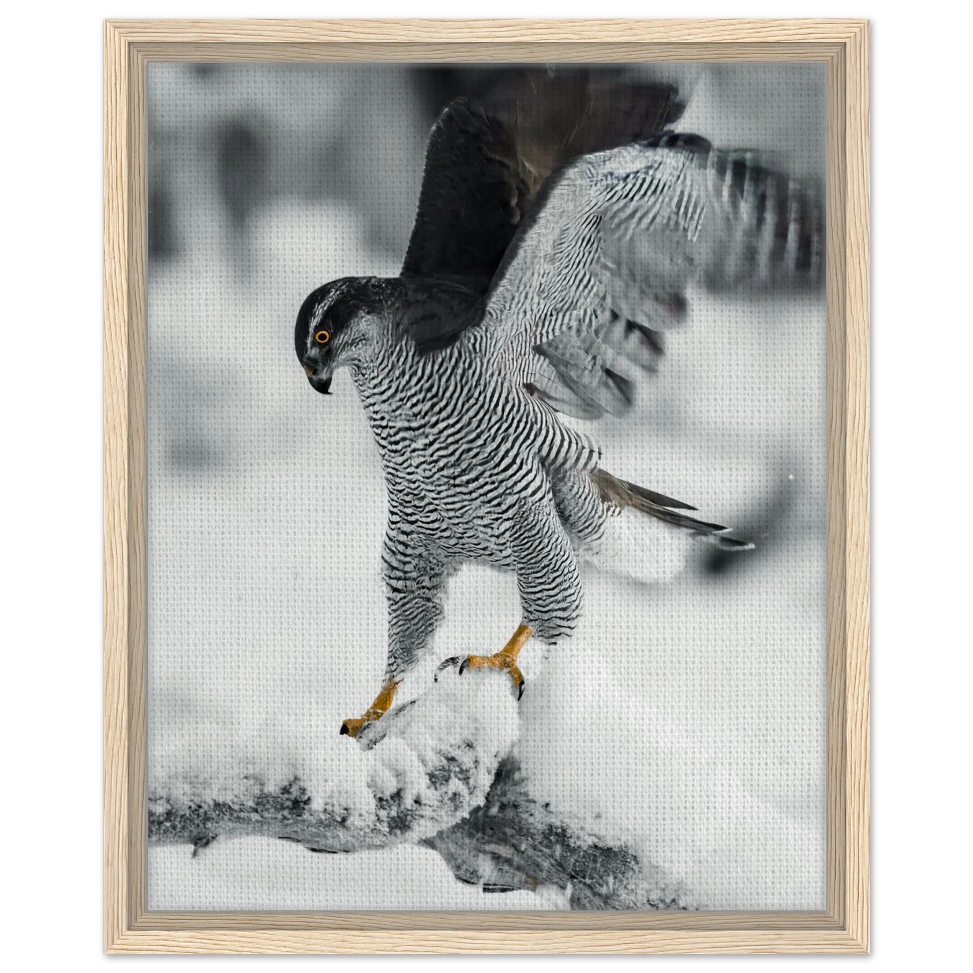 0e356a66-ae42-4f54-9f59-a40a7e88b112