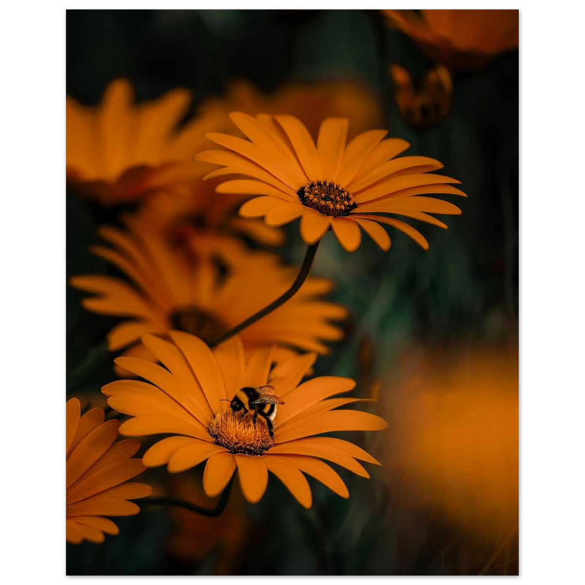 0e3a1c5a-40f2-4482-a7b1-8bb3a226086d