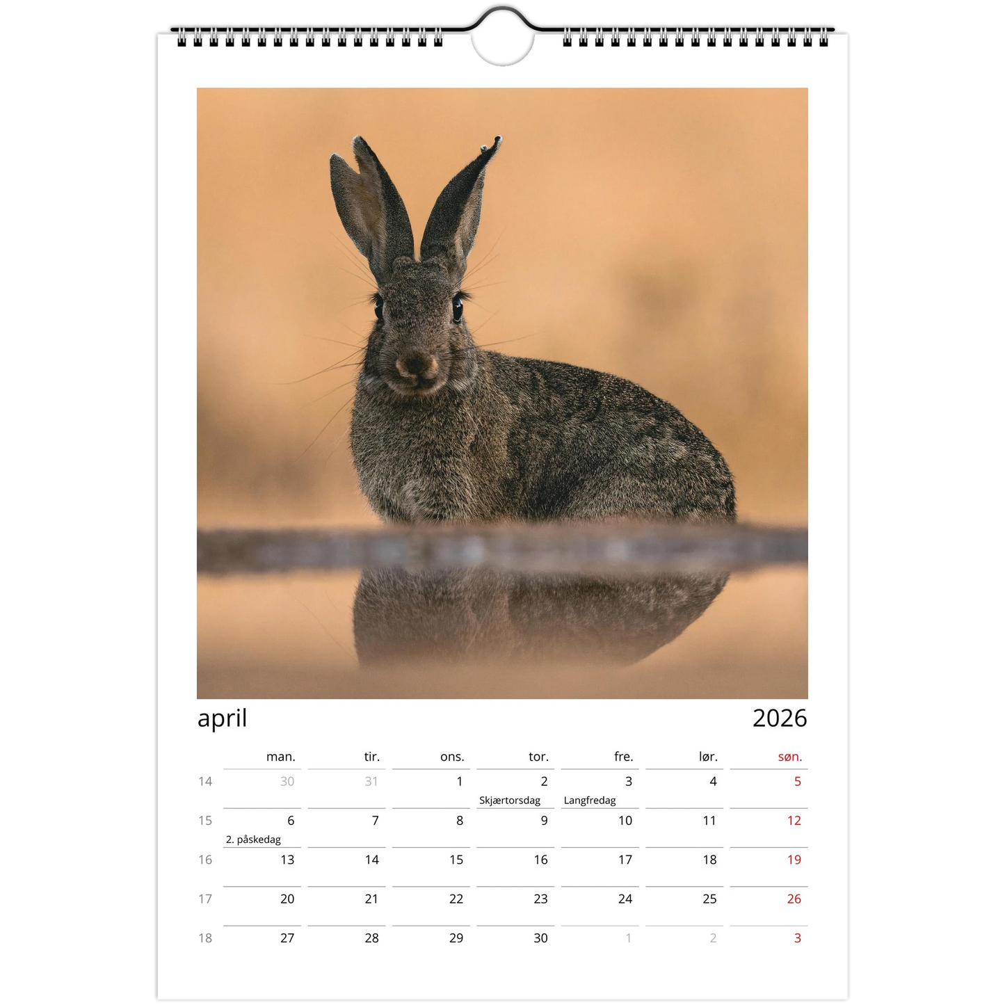 0f471e86-0432-4a76-bd38-7353128ec1fa