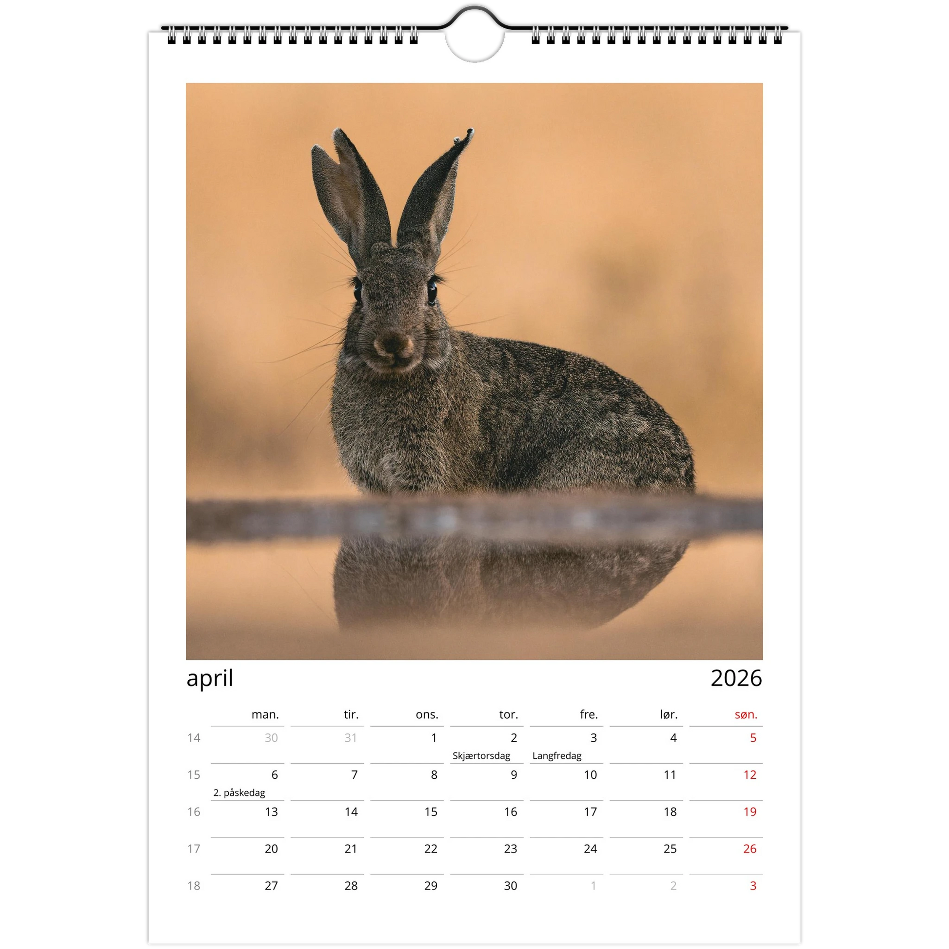 0f471e86-0432-4a76-bd38-7353128ec1fa