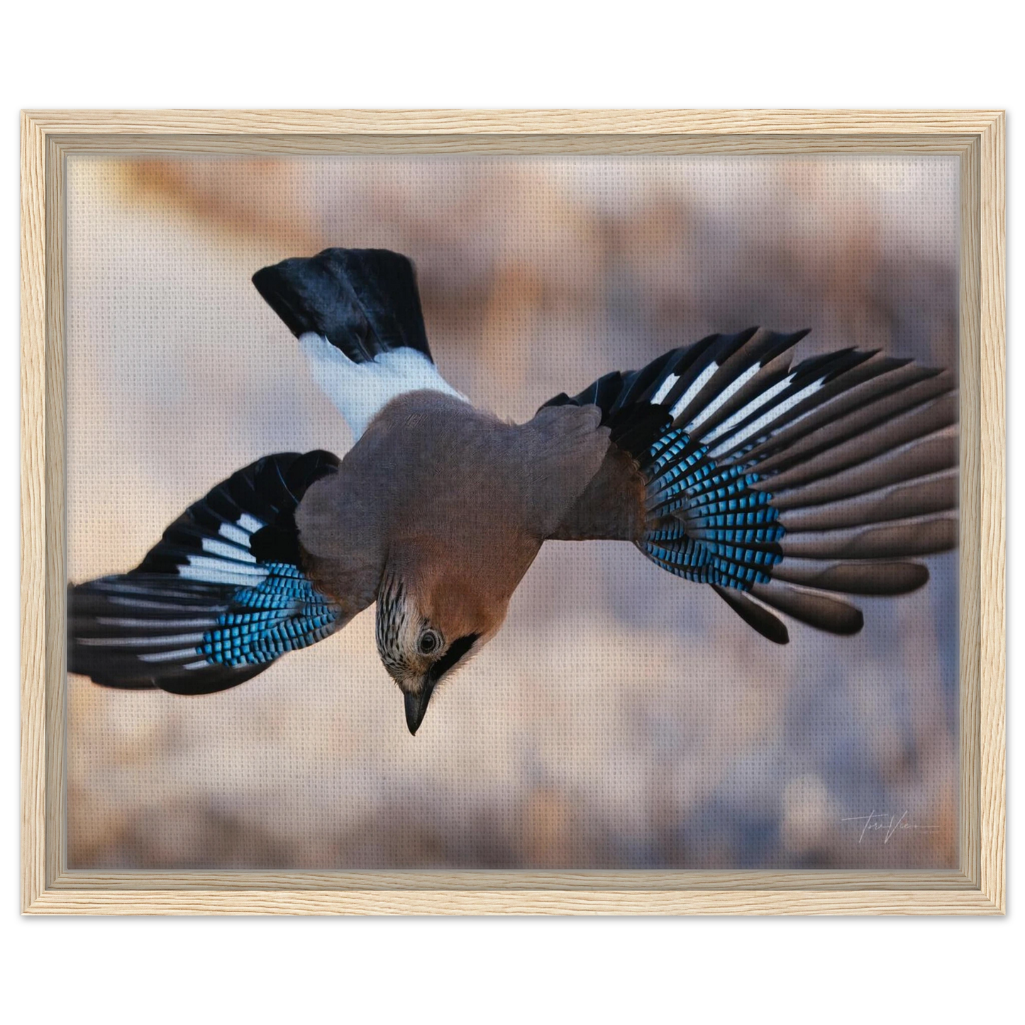 0f4b1910-b07e-4340-a33d-5c91dcb155cc