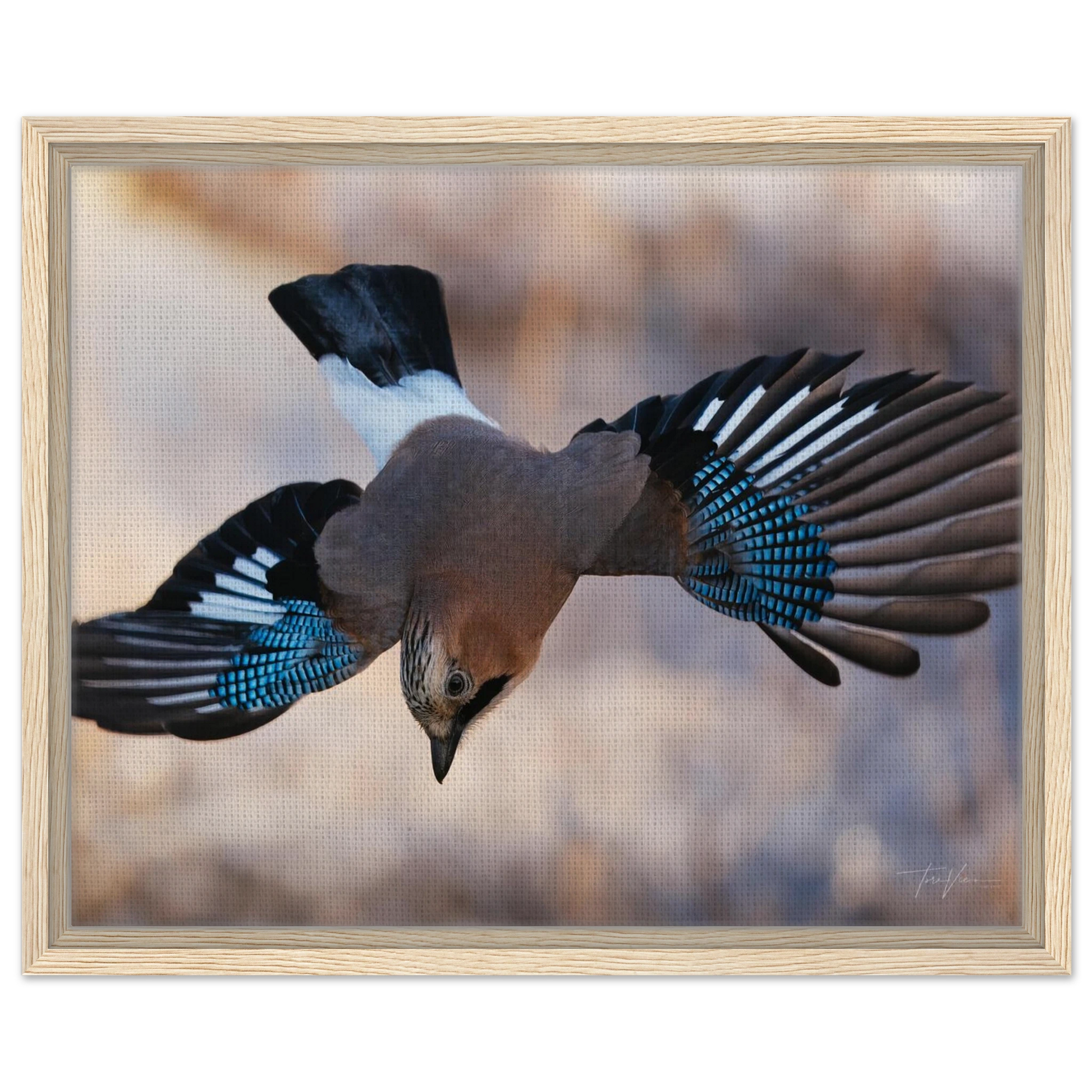 0f4b1910-b07e-4340-a33d-5c91dcb155cc