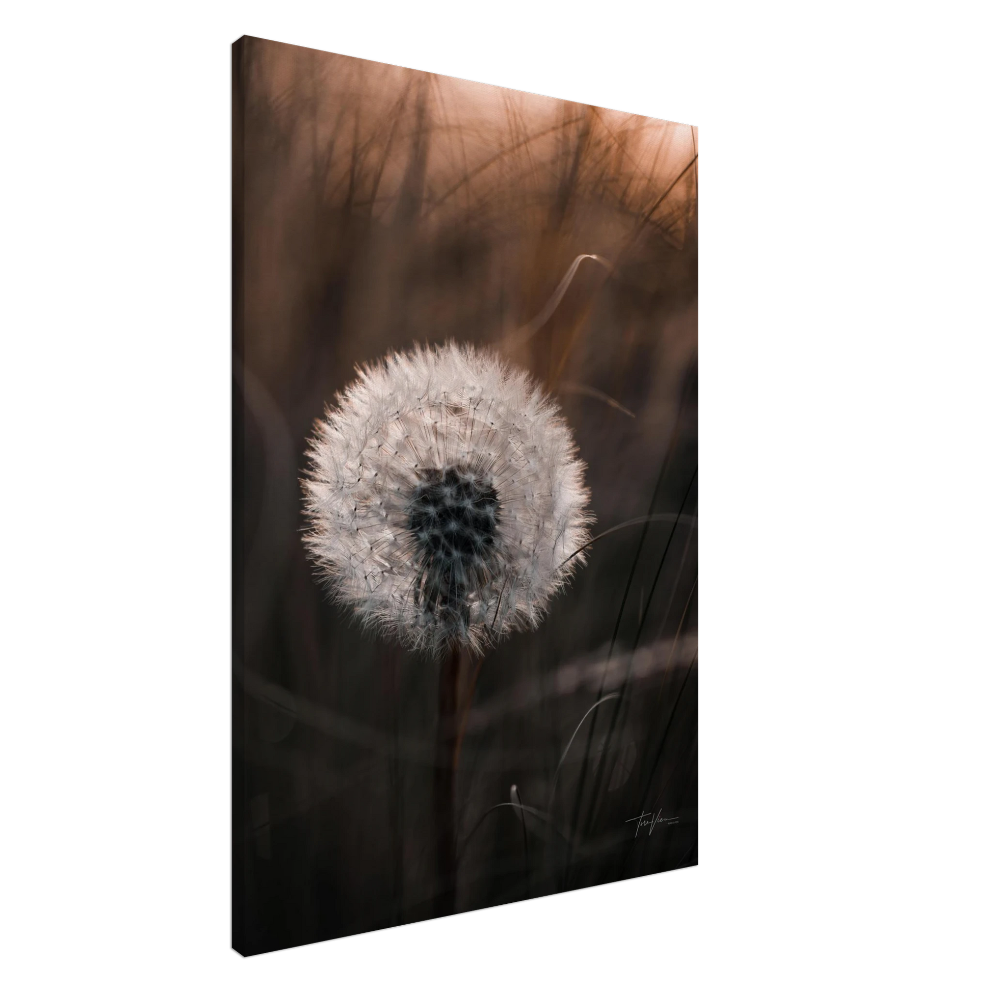 102d97a7-1dea-4710-9079-747f40782734