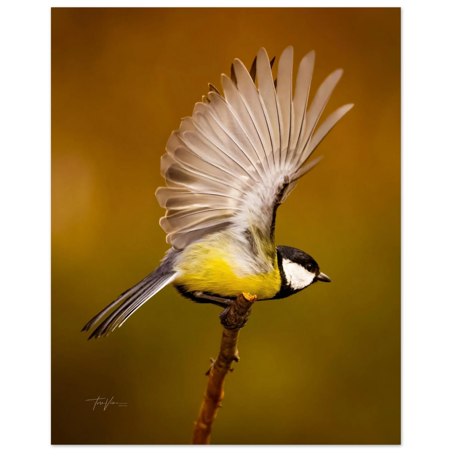 10510dc6-b27b-49be-9ef3-7eaf3b5e3a49