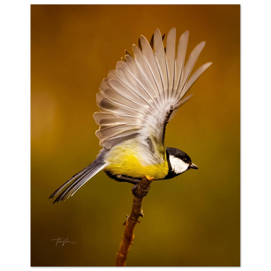 10510dc6-b27b-49be-9ef3-7eaf3b5e3a49